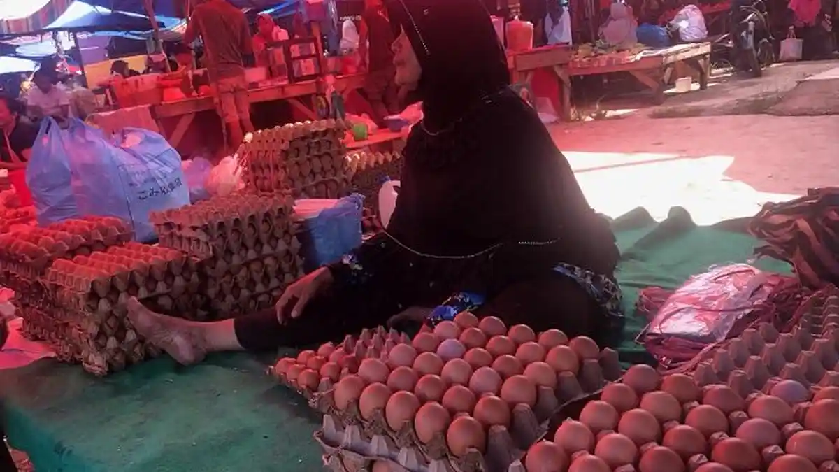Kenaikan Harga Telur Ayam di Pasar Sijunjung Dipicu Stok Terbatas dan Harga Pakan Ternak