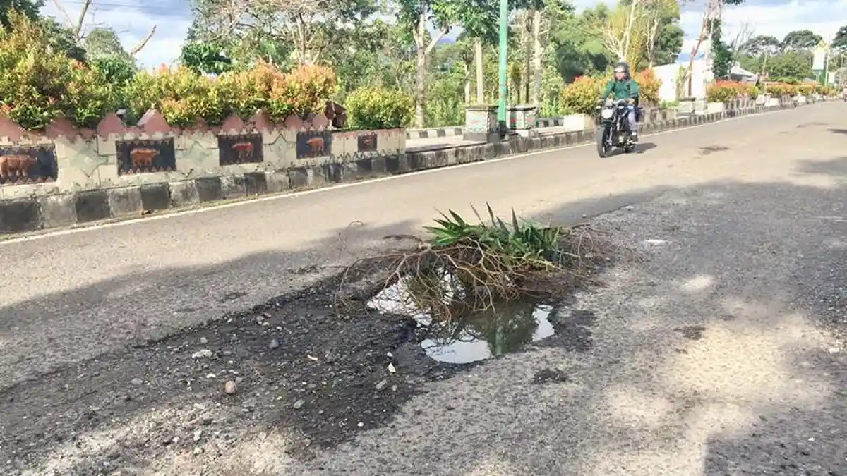 Baru 2 Bulan Diperbaiki, Ruas Jalan Provinsi di Way Mengaku Lampung Barat Kembali Rusak