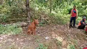 Pemdes-Karangturi-Trenggalek-beli-anjing-untuk-berburu-babi-hutan.jpg
