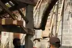 Suara 'Bruk' Bikin Pria Blitar & Keluarga Semburat Lari, Kaget Tahu Atap Rumah Jebol, Lihat Nasibnya