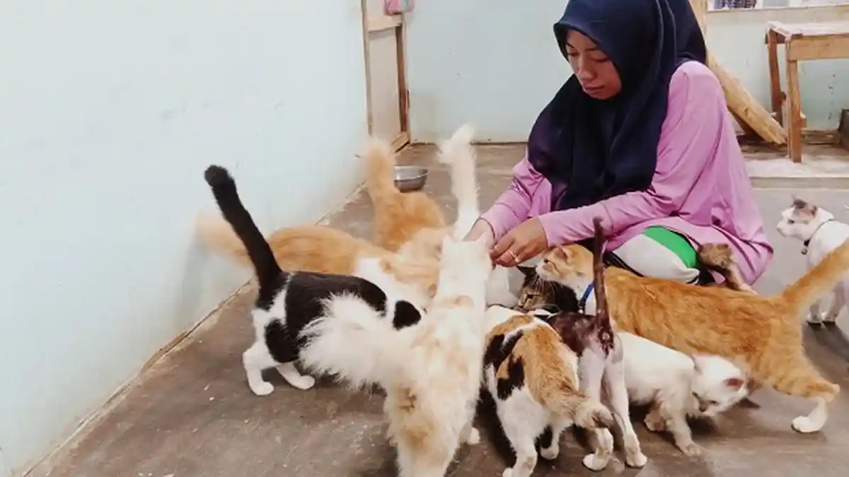 Tabrak Kucing, Warga Kotabaru Ini Mengubur Kucing dengan Baju yang Dipakainya Saat Itu