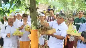 Tumpek-Wariga-Mendoyo-Jembrana.jpg
