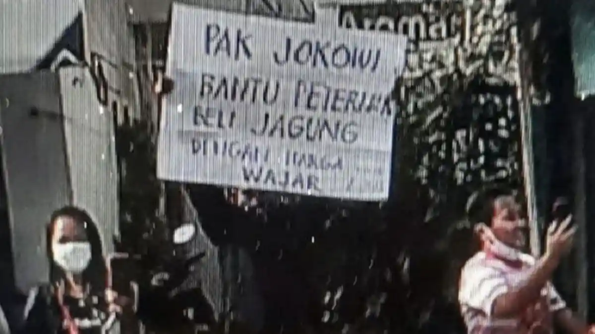 Kapolri Sampai Harus Terbitkan Telegram Agar Anggotanya Tak Reaktif Hadapi Pengkritik Jokowi