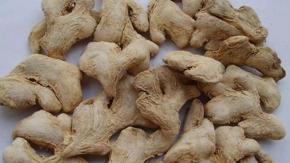Manfaat Jahe,  Efektif Mengontrol Gula Darah