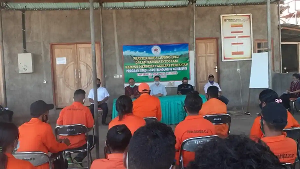 Selama 6 Bulan, 32 Mahasiswa Unipa Masuk Kebun dan Pegang Pacul