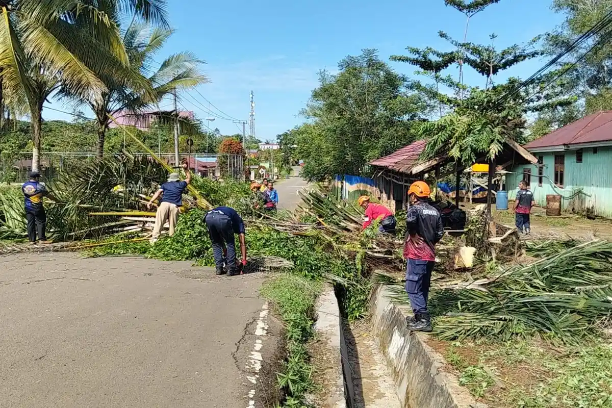 Dukung Penilaian Adipura, Dishub Tana Tidung Fokus Bersihkan Halte DAMRI dan Pelabuhan Keramat