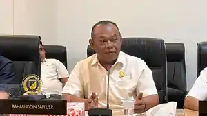 Baharuddin-Sapii.jpg