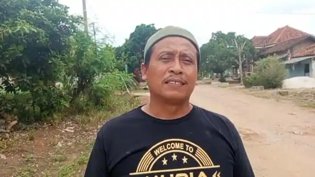 Tribun
