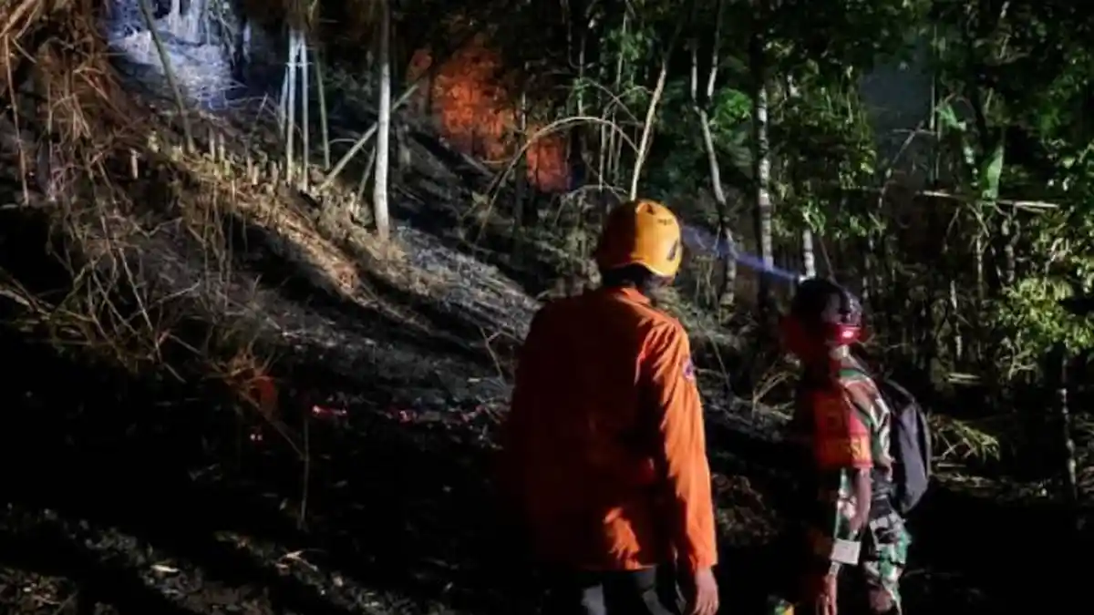 Jember Dilanda 84 Karhutla, BPBD Waspadai Kekeringan hingga November