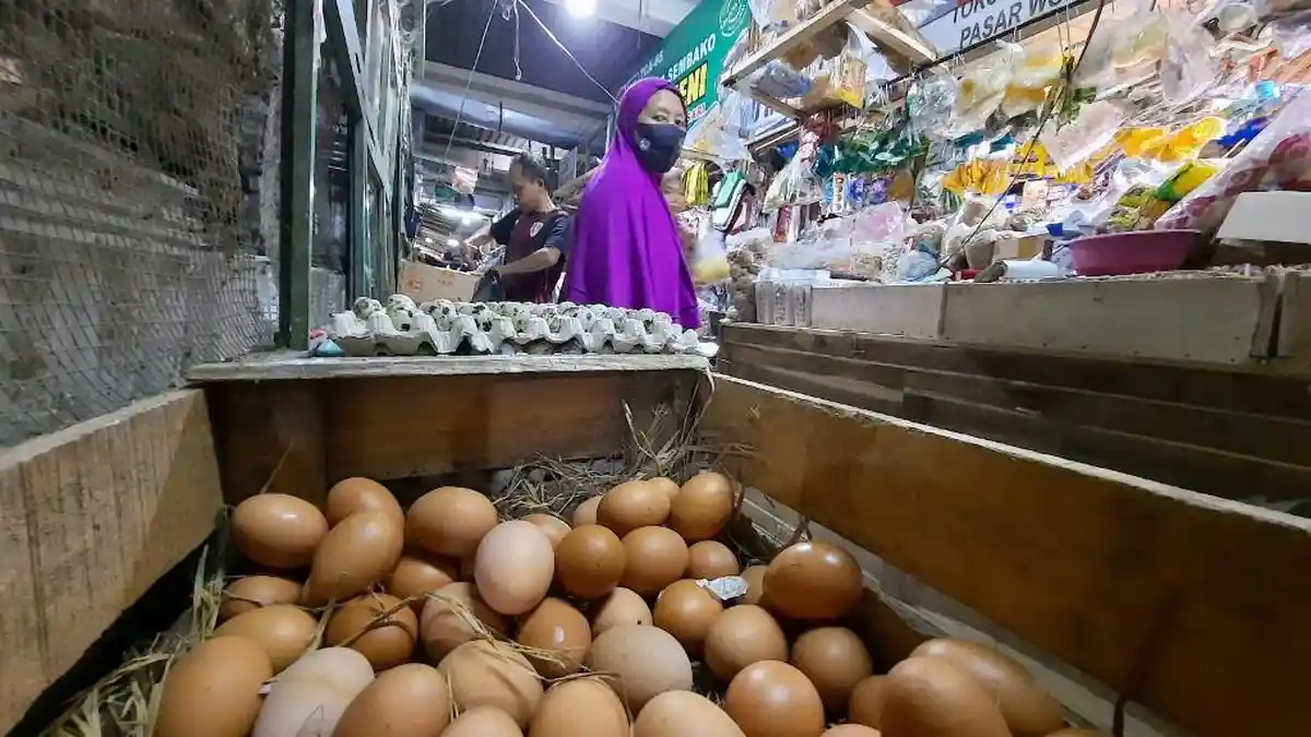 Harga Telur Ayam Ras di Tingkat Peternak hingga Eceran Gunungkidul Turun
