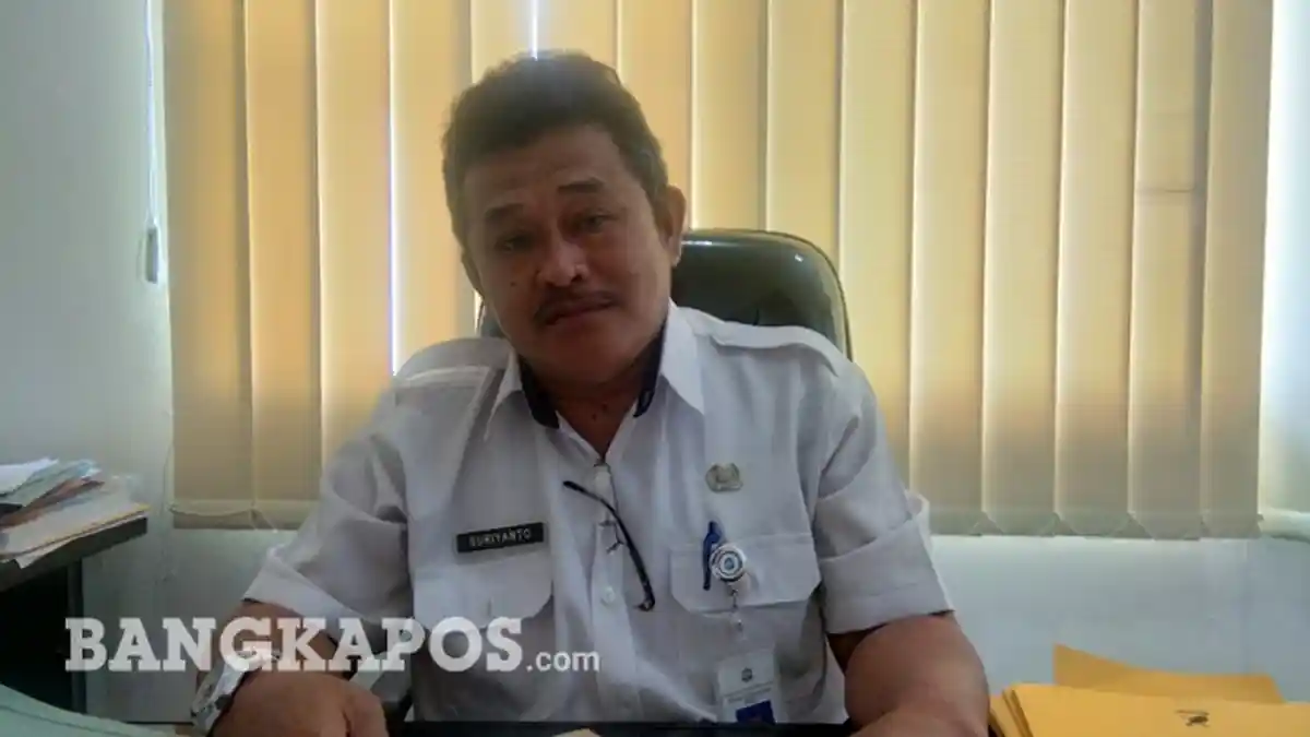 Demam di Atas 38 Derajat Dinas Kesehatan Pangkalpinang Minta Masyarakat Periksa ke Dokter