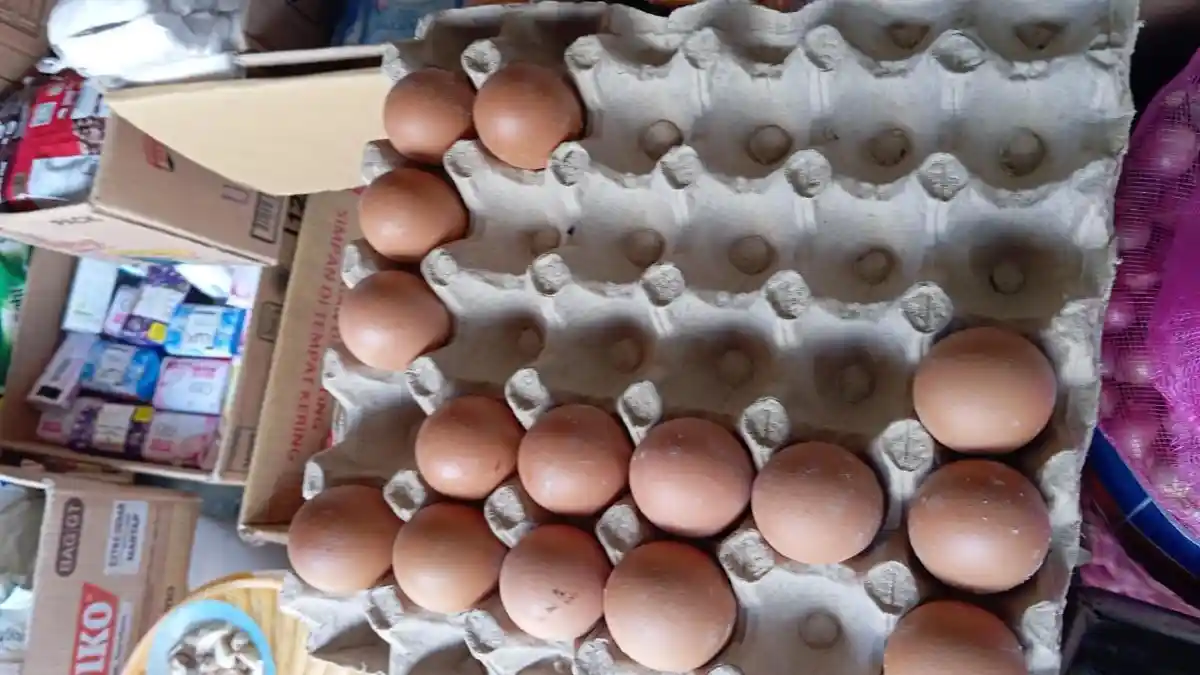 Harga Telur Ayam di Pasar Langgur - Malra Turun Tipis, per Rak Dijual Rp 70 Ribu