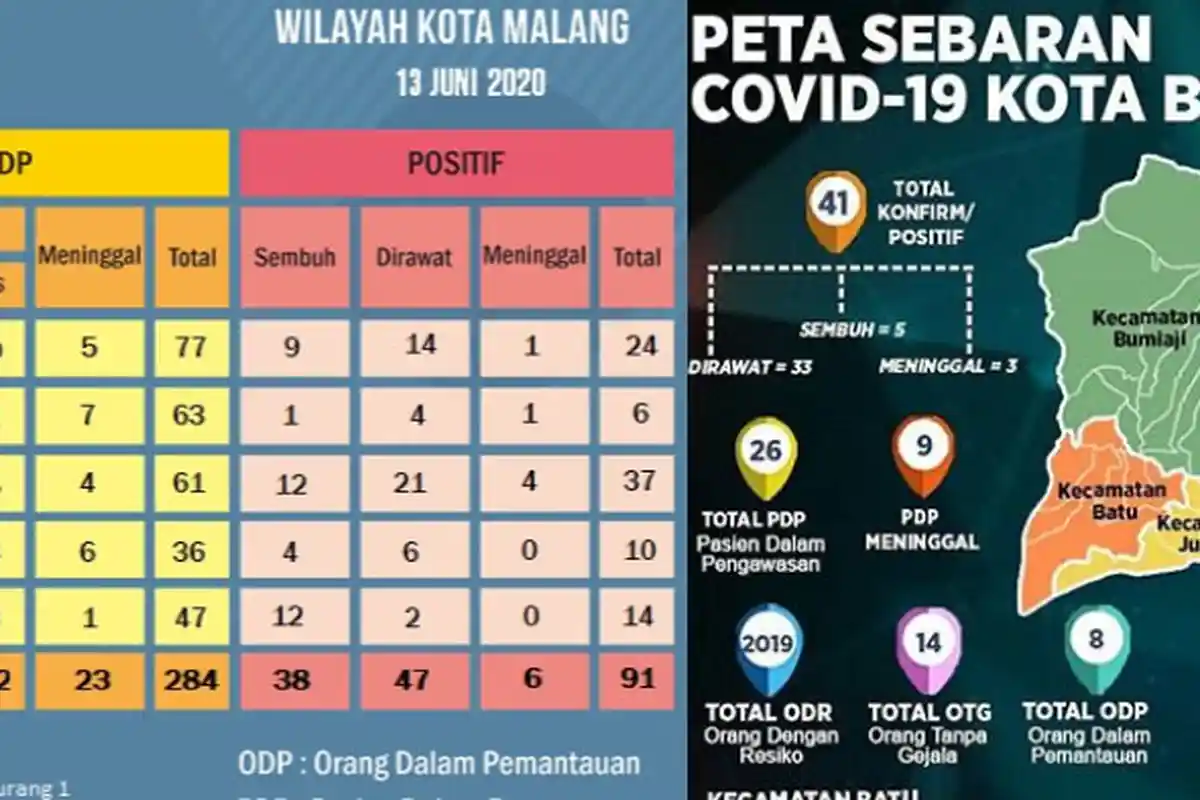 UPDATE Virus Corona Malang Raya & Jatim Minggu 14 Juni 2020: Total ada 250 Pasien Covid-19 Sembuh 86
