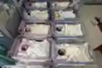 Bayi-bayi yang Lahir pada 12-12-12 di Balikpapan