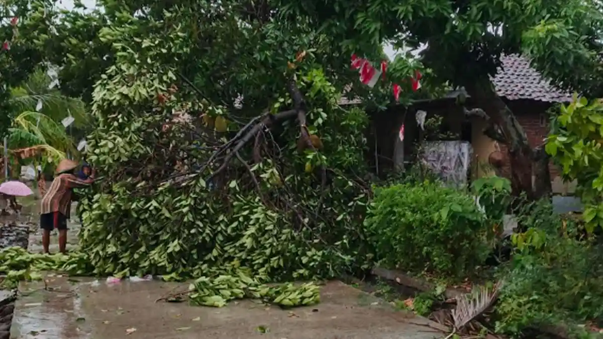Kronologi Hujan Disertai Puting Beliung Terjang Kawasan Plandaan Jombang, 10 Menit yang Merusak