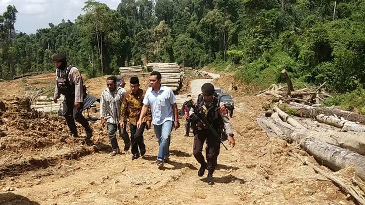 Enam Hektare Hutan 