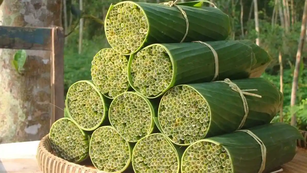 Pria Ini Ciptakan Sedotan dari Rumput Liar yang Ramah Lingkungan, Seperti Apa?