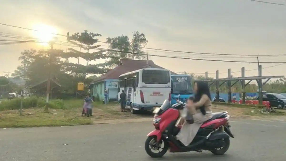 Jadwal dan Tarif Damri KTT-Tanjung Selor 6 Oktober 2026, Lengkap Rute ...