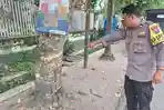 kecelakaan-maut-di-Kediri-motor-tabrak-pohon-sebabkan-satu-orang-tewas.jpg
