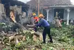 Blitar Geger! Kemarau Panjang Patah, Pohon Tumbang Hantam Kabel PLN