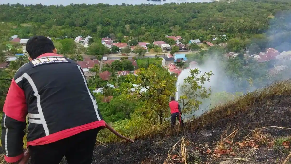 Lagi, Kebakaran Lahan Seluas Tujuh Hektare Terjadi di Perbukitan Lhokseumawe  