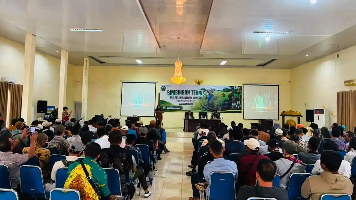 PHC Jadi Harapan Baru Petani Lampung, Produktivitas Panen Bisa Naik 30 Persen - Tribunlampung.co.id