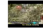LAGU-KARO-LANAI-TERPERATAHI-BULUNG-SI-NGGO-MELUS.jpg
