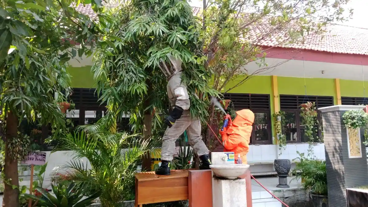 12 Siswa SDN 192 Gresik Diserang Tawon, Damkar Langsung Eksekusi Sarang dengan Cara Dibakar