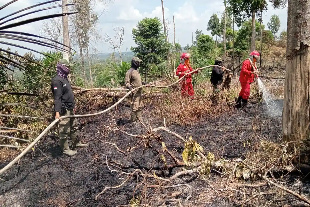 Meski Curah Hujan Mulai Meningkat, BPBD Batang Hari Perpanjang Status Siaga Karhutla 
