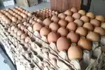Harga Telur Ayam Ras di Aceh Tengah Turun