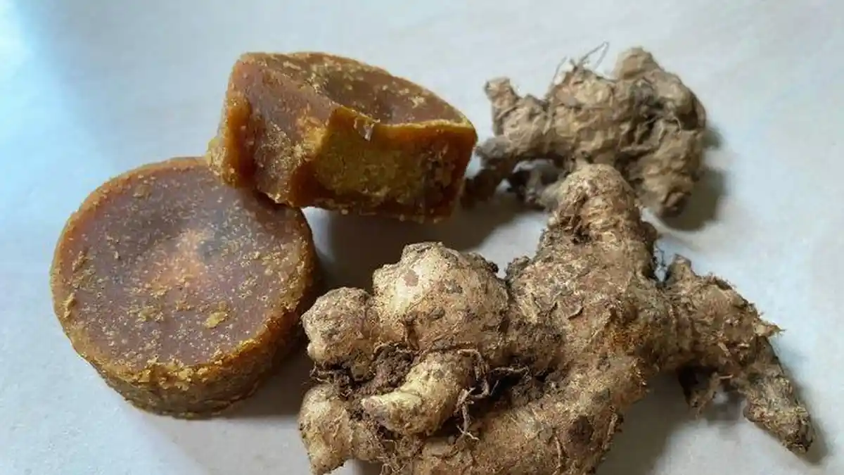 Campuran Jahe dan Gula Merah Dipercaya Dapat Menangkal Infeksi Virus Serta Bakteri