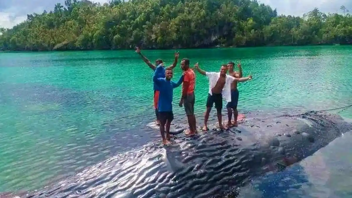 Terungkap Penyebab Kematian Ikan Paus Terdampar di Kampung Tomolol Raja Ampat