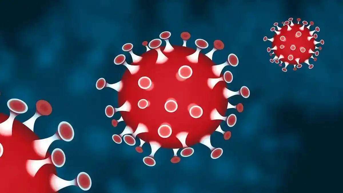 Peneliti: Virus Corona Bisa Bertahan hingga 24 Jam pada Kardus dan 3 Hari pada Benda Plastik