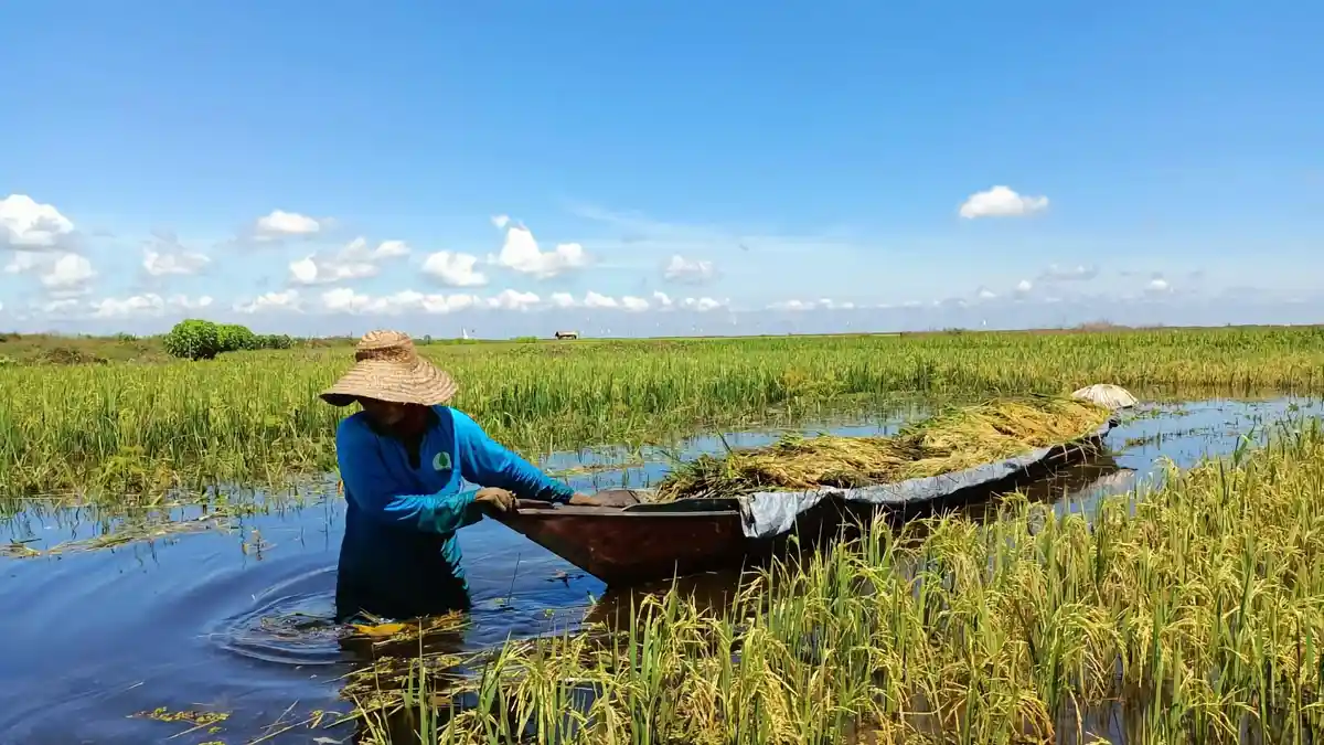 BPS: Upah Harian Buruh Tani Naik Tipis Oktober 2021