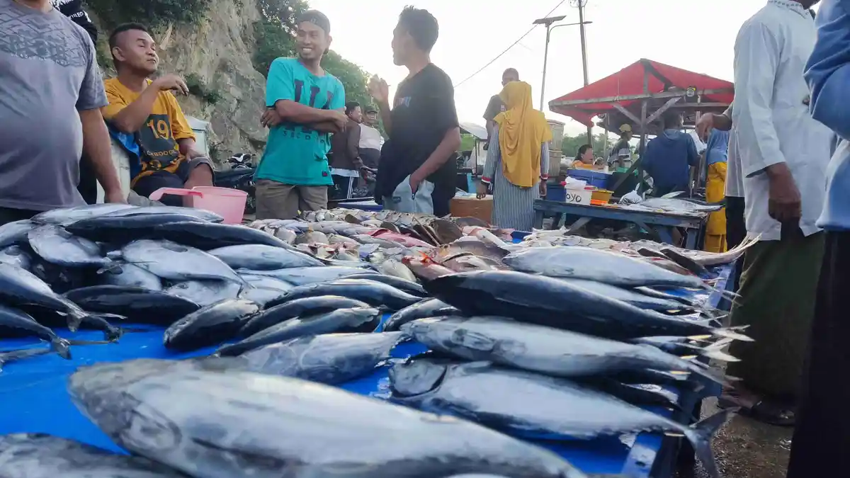 Ekspor Perikanan Gorontalo ke Luar Negeri Anjlok, Sektor Lain Justru Moncer