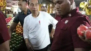 Momen-Presiden-Jokowi-membeli-buah-buahan-di-Pasar-Buah-Berastagi-Karo.jpg