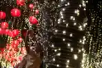 Jakarta Light Festival Edisi Imlek