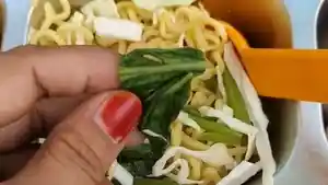 MBG-Seekor-ulat-ditemukan-di-atas-sayur-sawi-dalam-menu-Makan-Bergizi.jpg