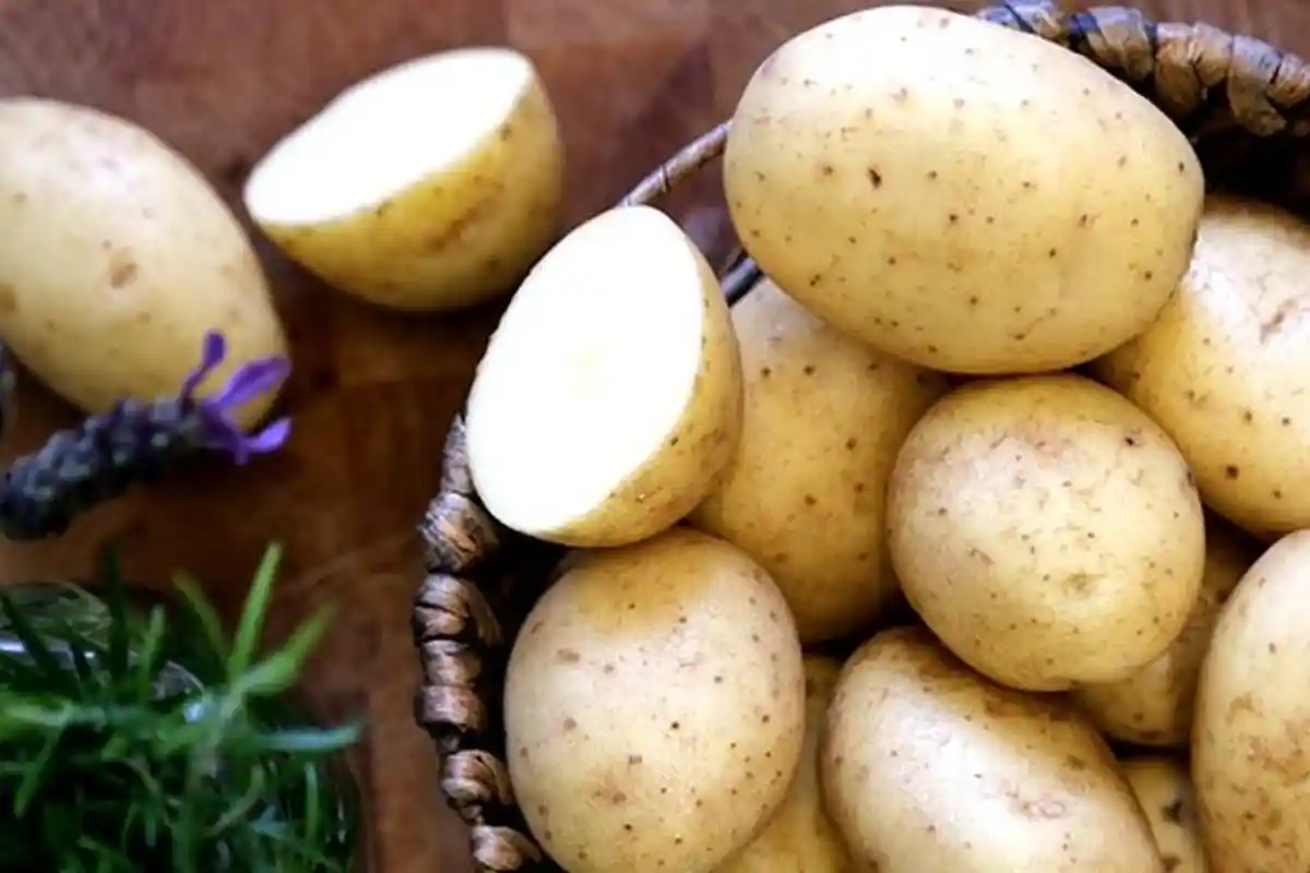 Berat Badan Turun Belasan Kilo, Yuk Lakukan Diet Kentang Selama Seminggu!