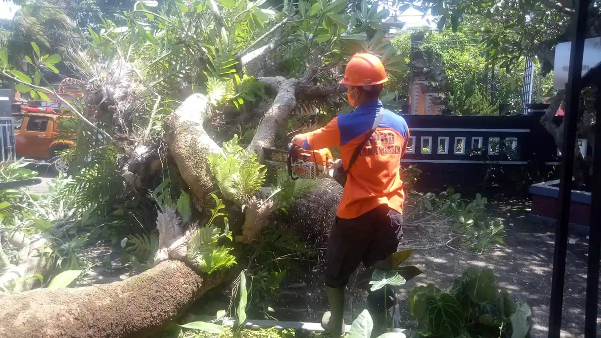 Cuaca Ekstrem, Longsor dan Pohon Tumbang Kepung Karangasem