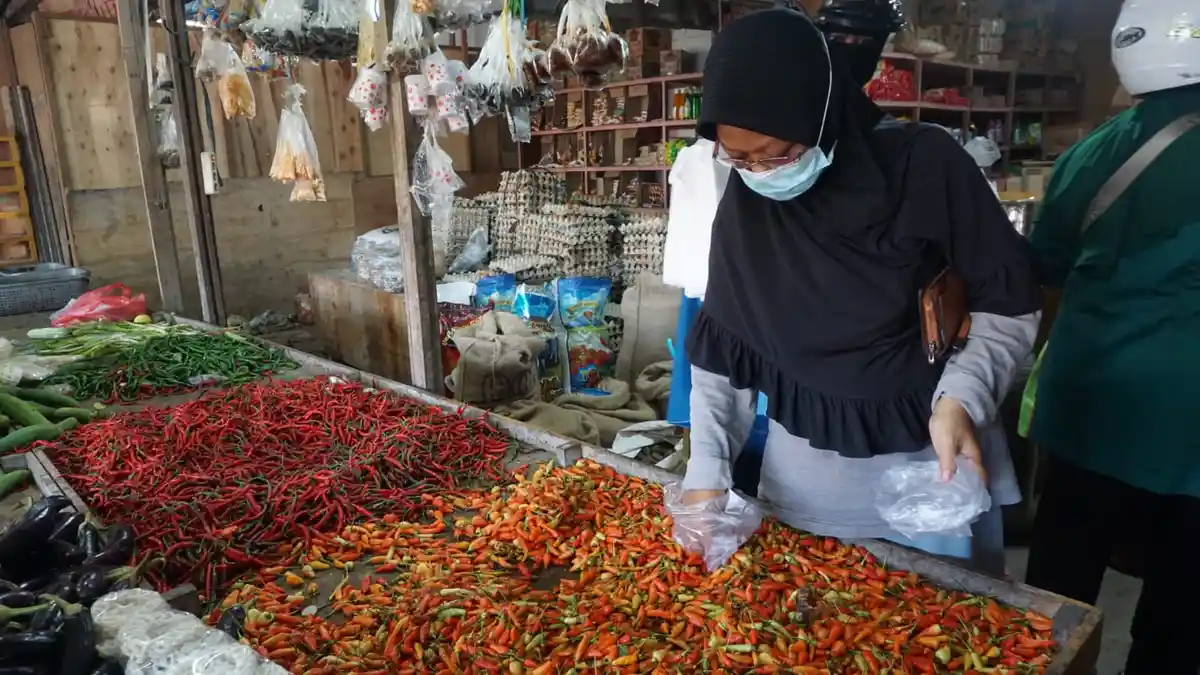 Harga Cabai di Sangatta Kutim Naik, Rawit Merah Tembus Rp 100 ribu per Kg 