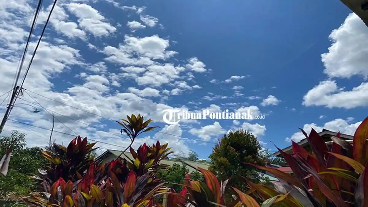 Cuaca di Kabupaten Sanggau Selasa 5 Agustus 2025, Didominasi Cerah dan Berawan