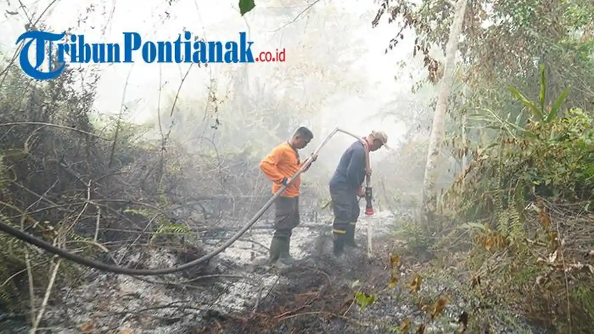 Aktivitas Belajar Mengajar di Kubu Raya Secara Daring, Seiring Adanya Kabut Asap yang Semakin Meluas