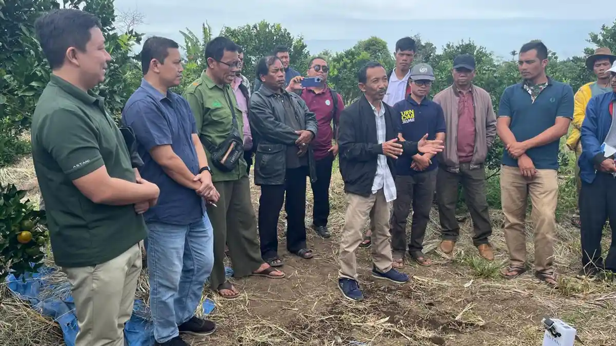 Dukung Potensi Jeruk Sumatera Utara, PLN Serahkan Bantuan Electrifying Agriculture
