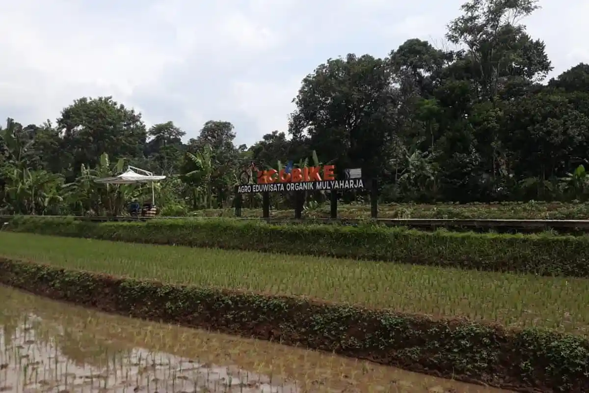 Rekomendasi 5 Tempat Wisata di Bogor yang Masih Alami, Curug Nangka hingga Bukit Gantole