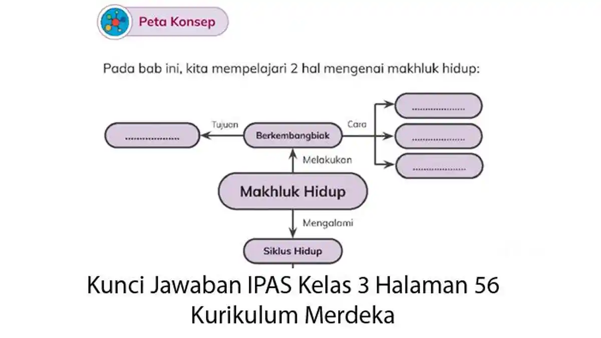 Kunci Jawaban IPAS Kelas 3 Halaman 56 Peta Konsep, Kurikulum Merdeka