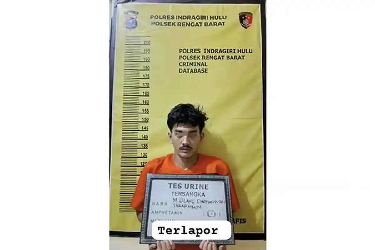 Nekat Curi Sawit Perusahaan untuk Beli Narkoba, Seorang Pemuda di Inhu Diamankan Polisi