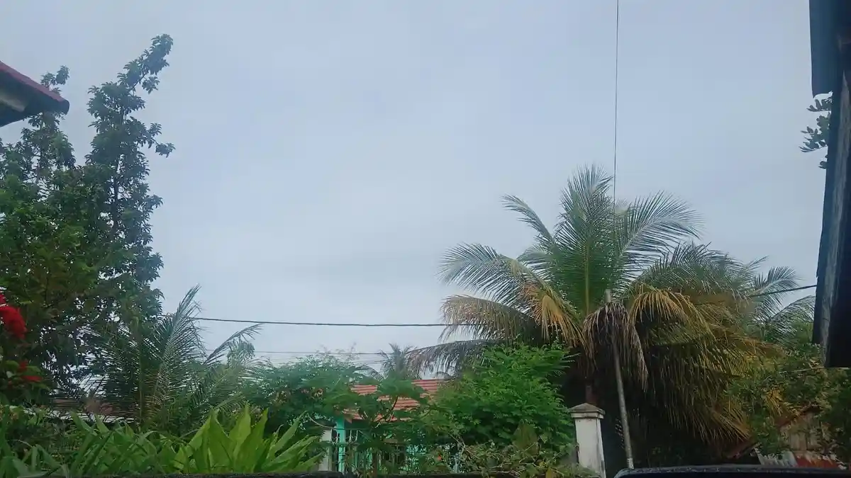 Update Prakiraan Cuaca Kabupaten Seluma 15 Maret 2025