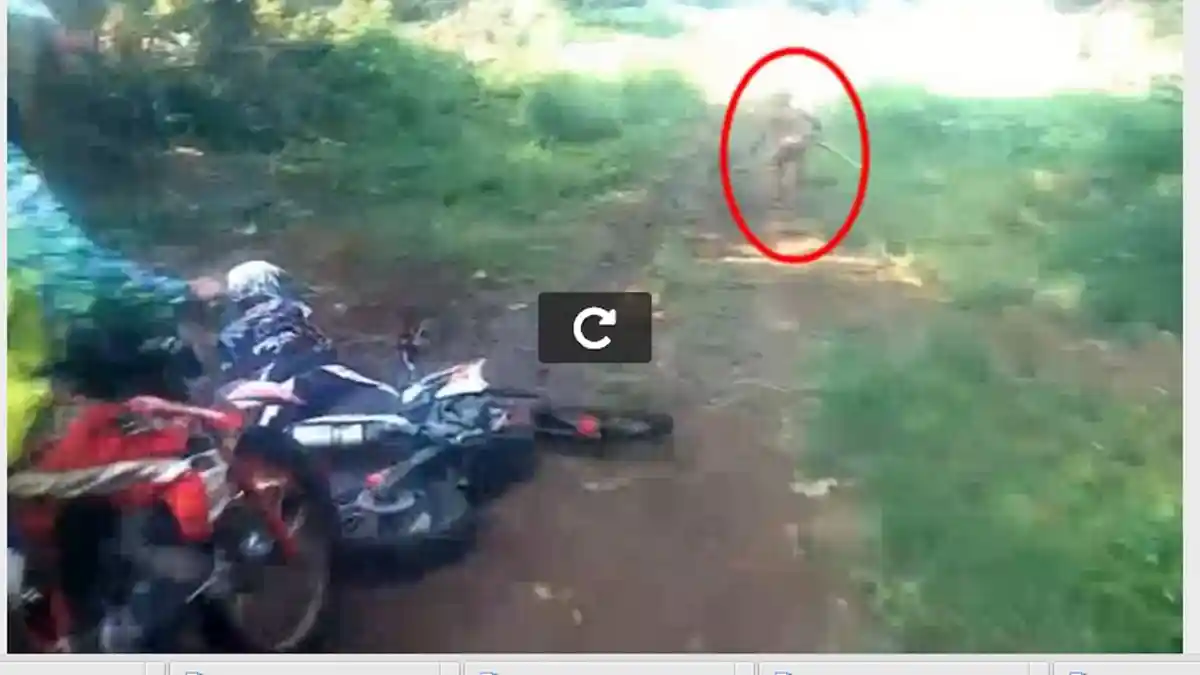 Mengenal Orang Kerdil Suku Mante Misterius di Hutan Aceh yang Disebut Punah