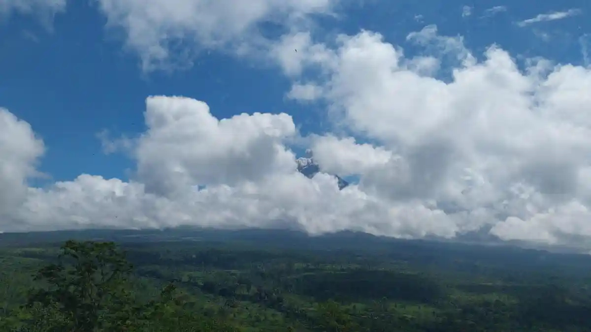 Breaking News, Gunung Semeru Luncurkan Awan Panas, BPBD Lumajang Buka Suara